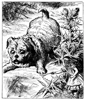 Giant dog illustration, (Alices Adventures in Wonderland)