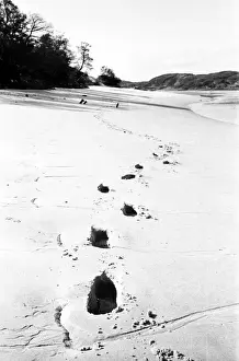 Giant Footprints