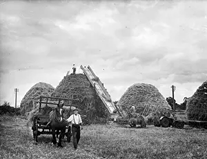 Haystack Prints: Giant Haystacks