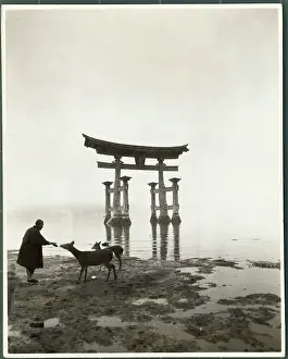 Kindness Prints: Giant Red Torii Forming a Water Gate