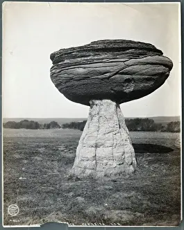 Giant Toad Stool Rock