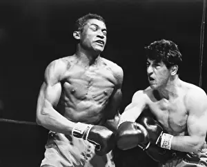 Giardello Kos Troy In Seven