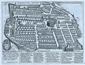 Gardens Prints: Giardino dell Illustrissimo Signore Ciriaco Mattei Posto nel Monte Celio
