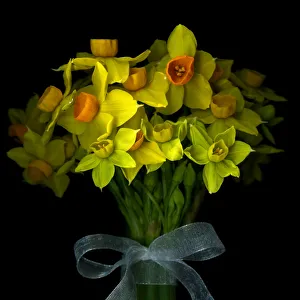 Images Dated 25th May 2012: Gift of beauty