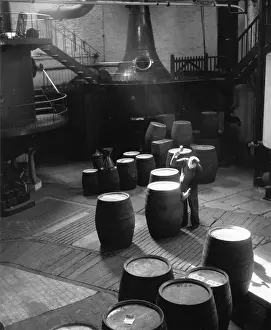 Shaft Of Light Prints: Gin Cooper