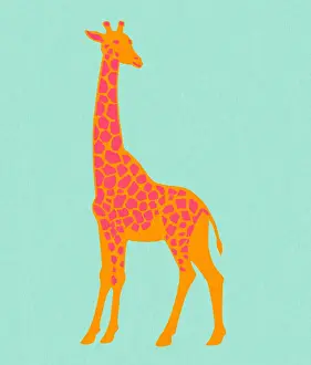 Giraffe Prints: Giraffe