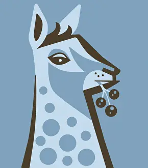 Giraffe Prints: Giraffe