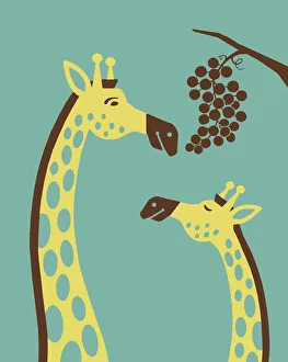 Two Animals Gallery: Giraffes Eating Grapes