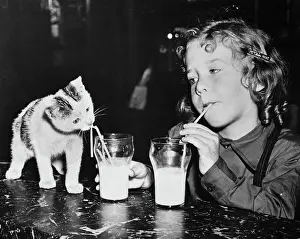 Kitten Prints: Girl and Cat Drinking Glasses of Milk