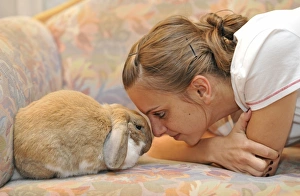 Girl cuddling with a European Dwarf Rabbit (Oryctolagus cuniculus), animal love Girl cuddling with a European Dwarf Rabbit (Oryctolagus cuniculus), animal love