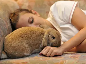 Hand Prints: Girl cuddling with a European Dwarf Rabbit (Oryctolagus cuniculus), animal love