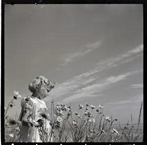Daisy Prints: Girl in Daisy Field