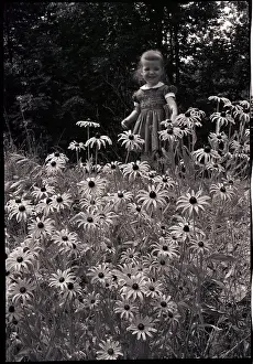Daisy Prints: Girl in Daisy Field