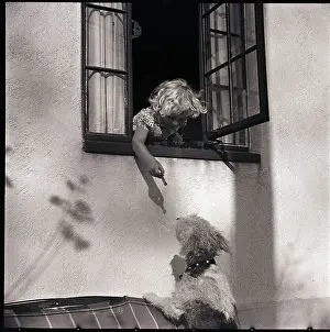 Reaching Prints: Girl Feeding Dog Through Window