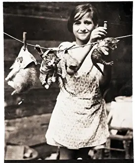 Kitten Prints: Girl Hanging Kittens on Clothesline