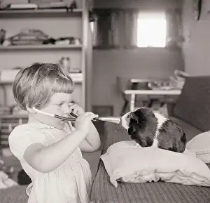Stethoscope Prints: Girl Holds Stethoscope to Pet Guinea Pig