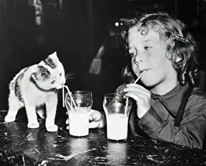 Girl And Kitten Drinking Milk