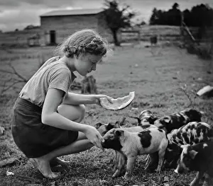 Editorial Prints: Girl And Piglets