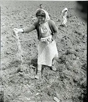 Girl Plants Seeds