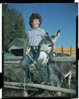 Mule Prints: Girl Posing with a Mule