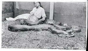 Philippines Prints: Girl Relaxing with a Python