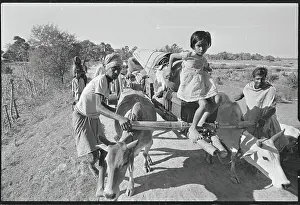 East Pakistan Prints: Girl Riding Oxen