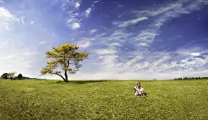Pinus Prints: Girl sitting in a meadow with pine tree