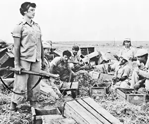 Israeli Prints: Girl Standing Holding Rifle W/Farmers