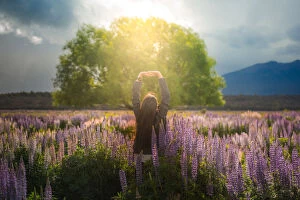 A girl standing in lupines field with sun shine