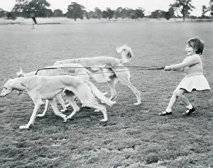 Girl Walking Her Dogs
