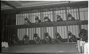 Girls Dancing in Prison Scene for Nightclub