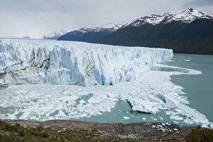 Images Dated 19th December 2010: Glacial ice from the Perito Moreno Glacier calving into the lake of Lago Argentino