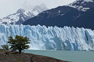 Glacial ice from the Perito Moreno Glacier at the lake of Lago Argentino, Santa Cruz region, Patagonia, Argentina, South America, America