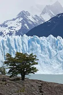 Glacier Lake Prints: Glacial ice from the Perito Moreno Glacier at the lake of Lago Argentino