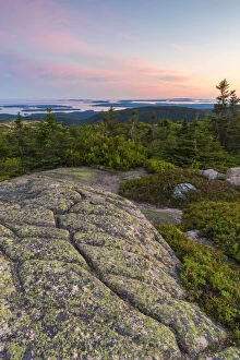 Images Dated 7th August 2015: Glacial striations in granite on summit of Cadillac Mountain, Acadia National Park, Maine, USA