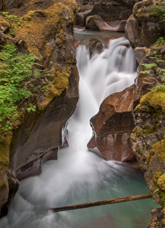 Images Dated 25th July 2015: Glacier National Park