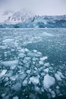 Images Dated 18th August 2009: Glacier, Spitsbergen Island, Svalbard, Norway