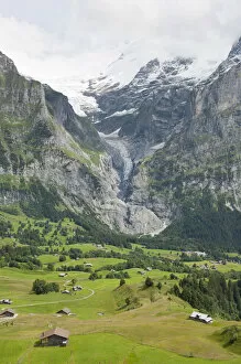 Images Dated 24th July 2011: Glacier Tongue, Upper Grindelwald Glacier, Alpine meadow, Grindelwald, Bernese Oberland