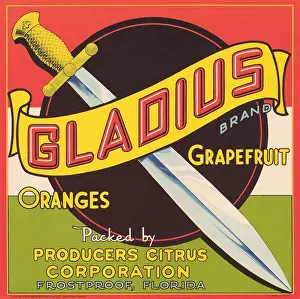 Brand Prints: Gladius Brand