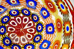 Burano Gallery: Glass art in Burano
