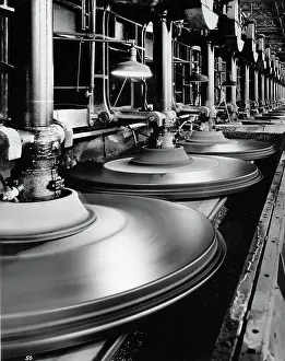 Polishing Prints: Glass Plate Plant