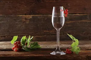 Pastoral Prints: A glass of red currant schnapps with red currants (Ribes rubrum) on wooden background