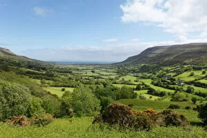 Vegetation Gallery: Glenariff valley, Glens of Antrim, County Antrim, Northern Ireland, Ireland, Great Britain, Europe