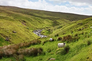 Valley Collection: Glendun valley near Cushendun, Glens of Antrim, County Antrim, Northern Ireland, United Kingdom