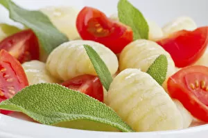 Images Dated 2nd May 2011: Gnocchi, tomatoes, basil