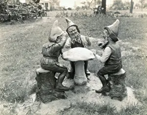 Gnomes Sitting Around a Mushroom
