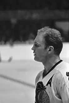 Toronto Prints: Goalie Bruce Gamble in Game