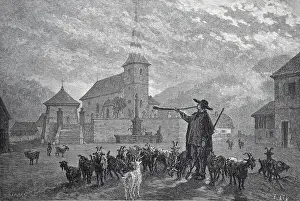 Breed Of Livestock Prints: Goat herder in a village in Alsace
