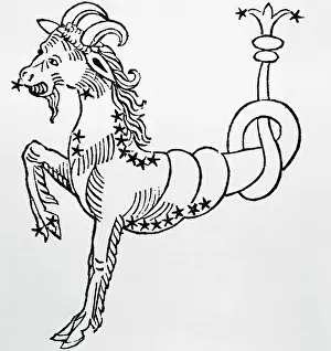 The Goat, The Sign Of Capricorn