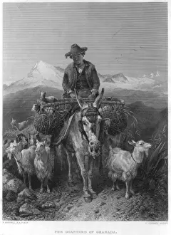 Goatherd